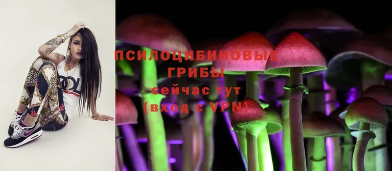 сколько стоит  omg маркетплейс  Псилоцибиновые грибы Psilocybine cubensis  Бирюсинск 